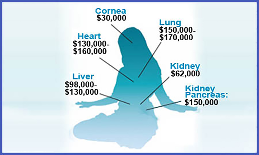 Business of Organ Harvesting Stop Forced Live Organ