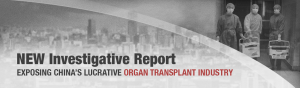 NEW-Investigative-Report-banner-2
